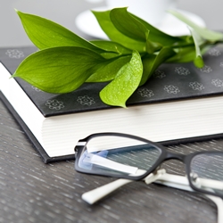 용양봉저정 국화정 활용 책 표지