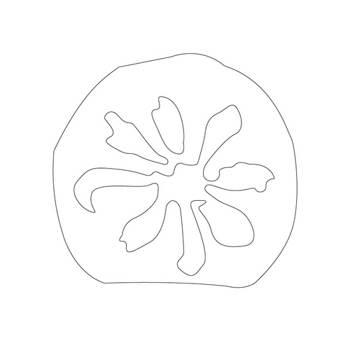 꽃문(11402)