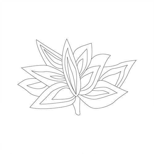 연꽃문(43406)