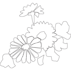 꽃문(5806)