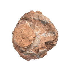 공룡알(3000874)