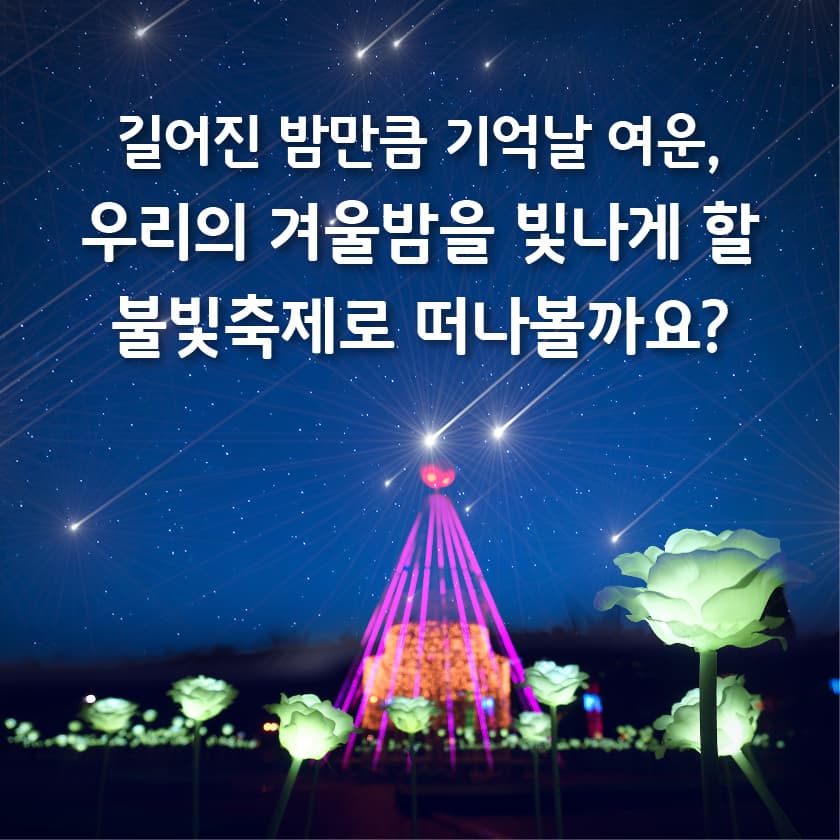 깊어진 밤만큼 기억날 여운, 우리의 겨울밤을 빛나게 할 불빛축제로 떠나볼까요?