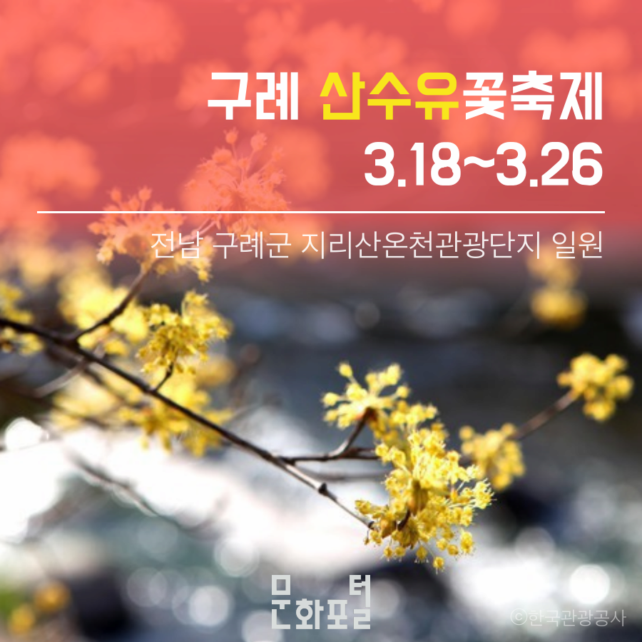 구례 산수유 꽃축제
3.18~3.26.
전남 구례군 지리산 온천관광단지 일원