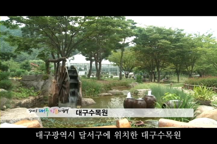 도심속 생태공간, 대구수목원