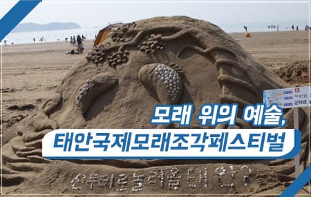 모래 위의 예술, 태안 국제 모래조각 페스티벌