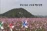 코스모스천국 백마강변