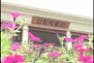[관광/여행]공주 산림박물관
