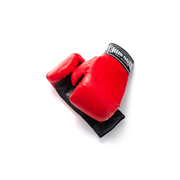 범문 활용 글러브