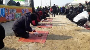 홍성 남당항 새조개축제 2019