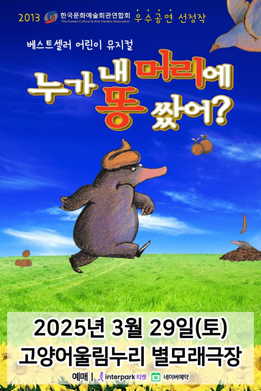 [고양] 누가 내 머리에 똥 쌌어?