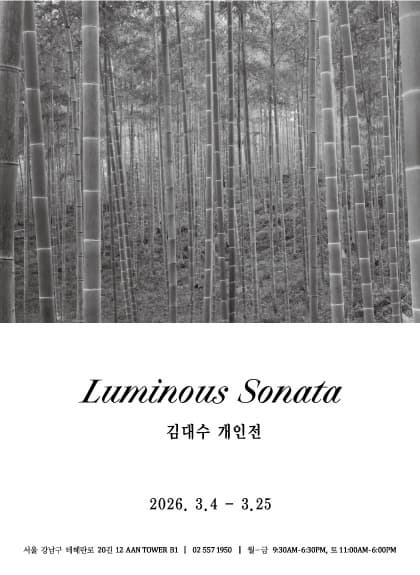 김대수 개인전 [Luminous Sonata]