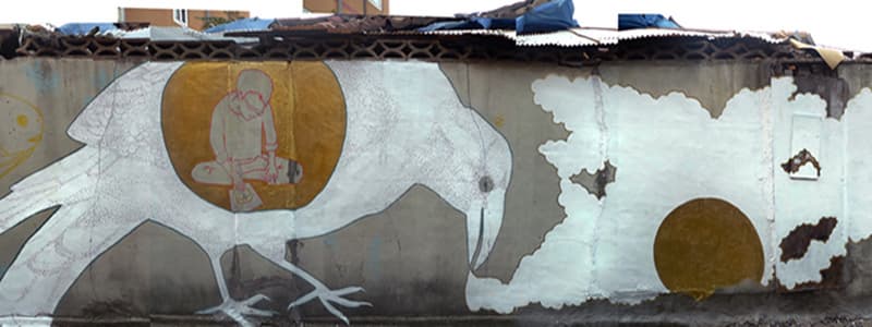브라질에서 온 우리 동네 담벼락 예술가 ‘알렉스 세나 & 라켈 셈브리’ 