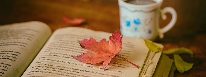 가을을 맞이하여, ‘독서’에 특별함을 더하다