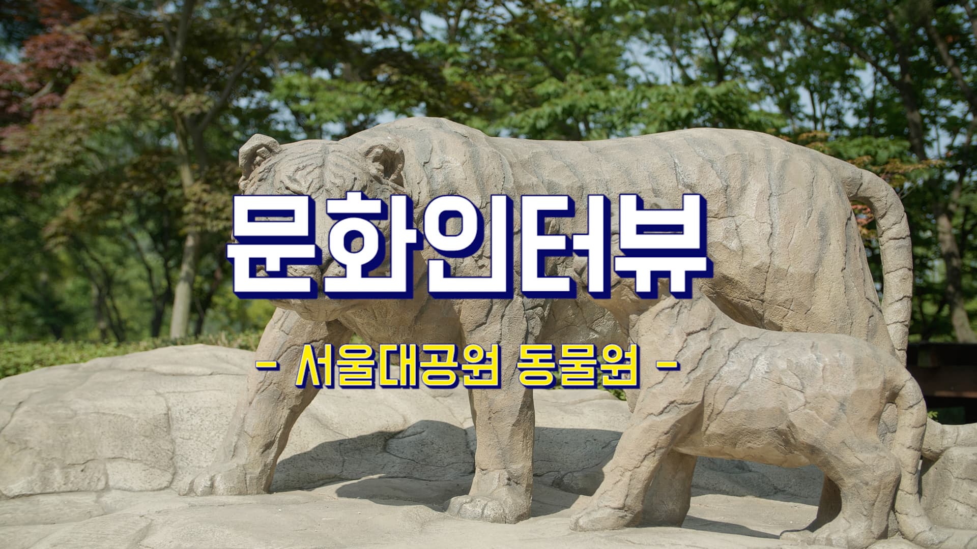 동물들은 잘 지내고 있나요? 문화인터뷰 서울대공원 편