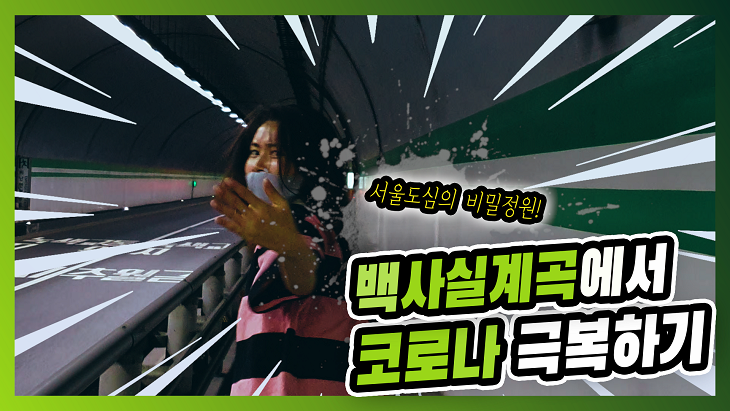 서울도심의 비밀정원 '백사실계곡'에서 코로나 극복하기