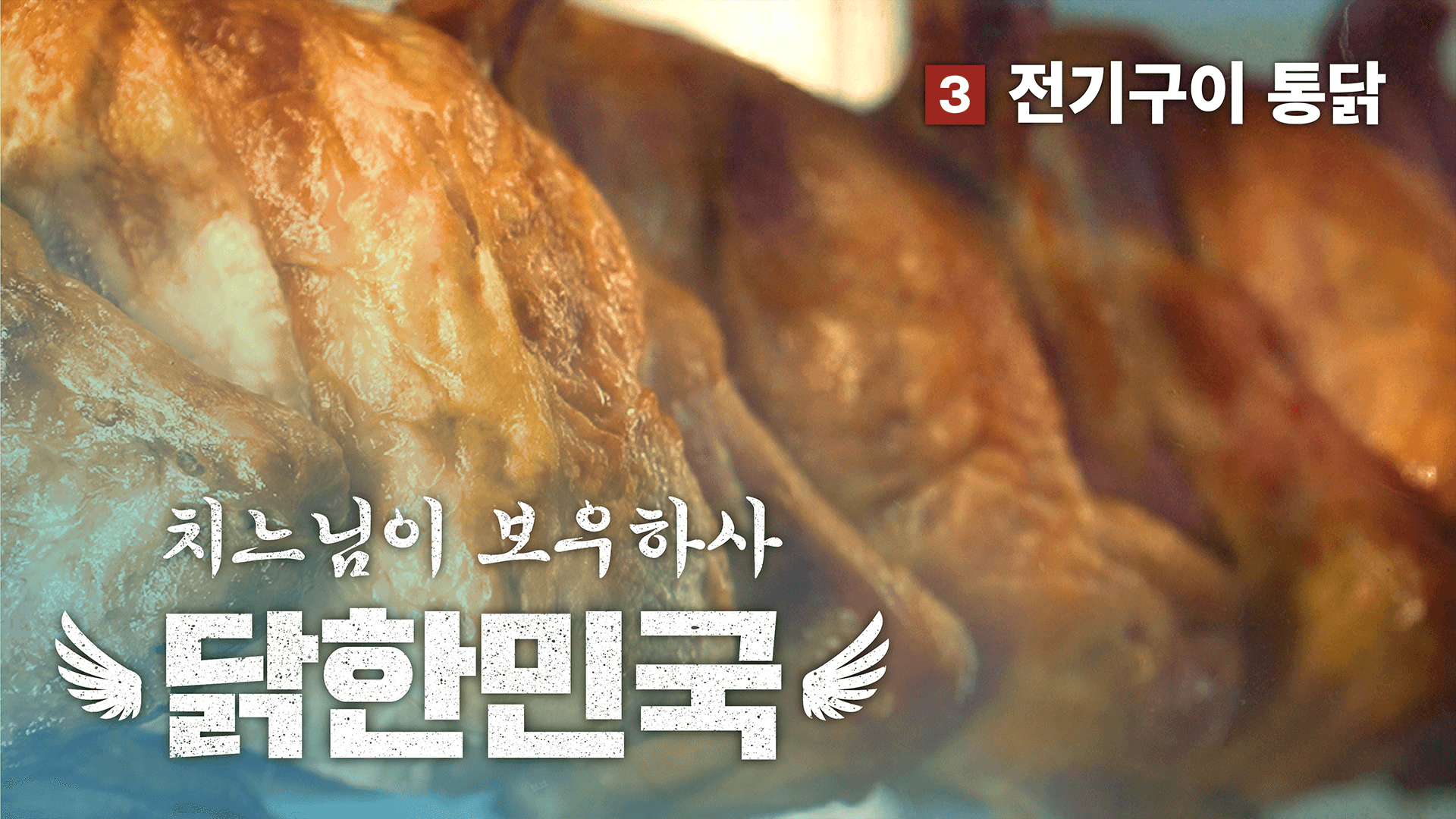 치느님이 보우하사, 닭한민국! 03. 전기구이 통닭