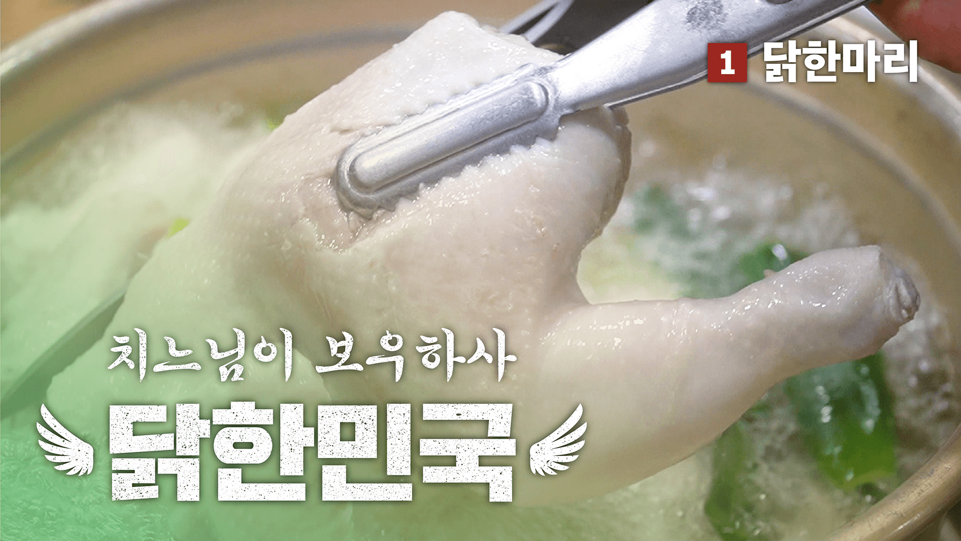 치느님이 보우하사, 닭한민국! 01. 닭한마리