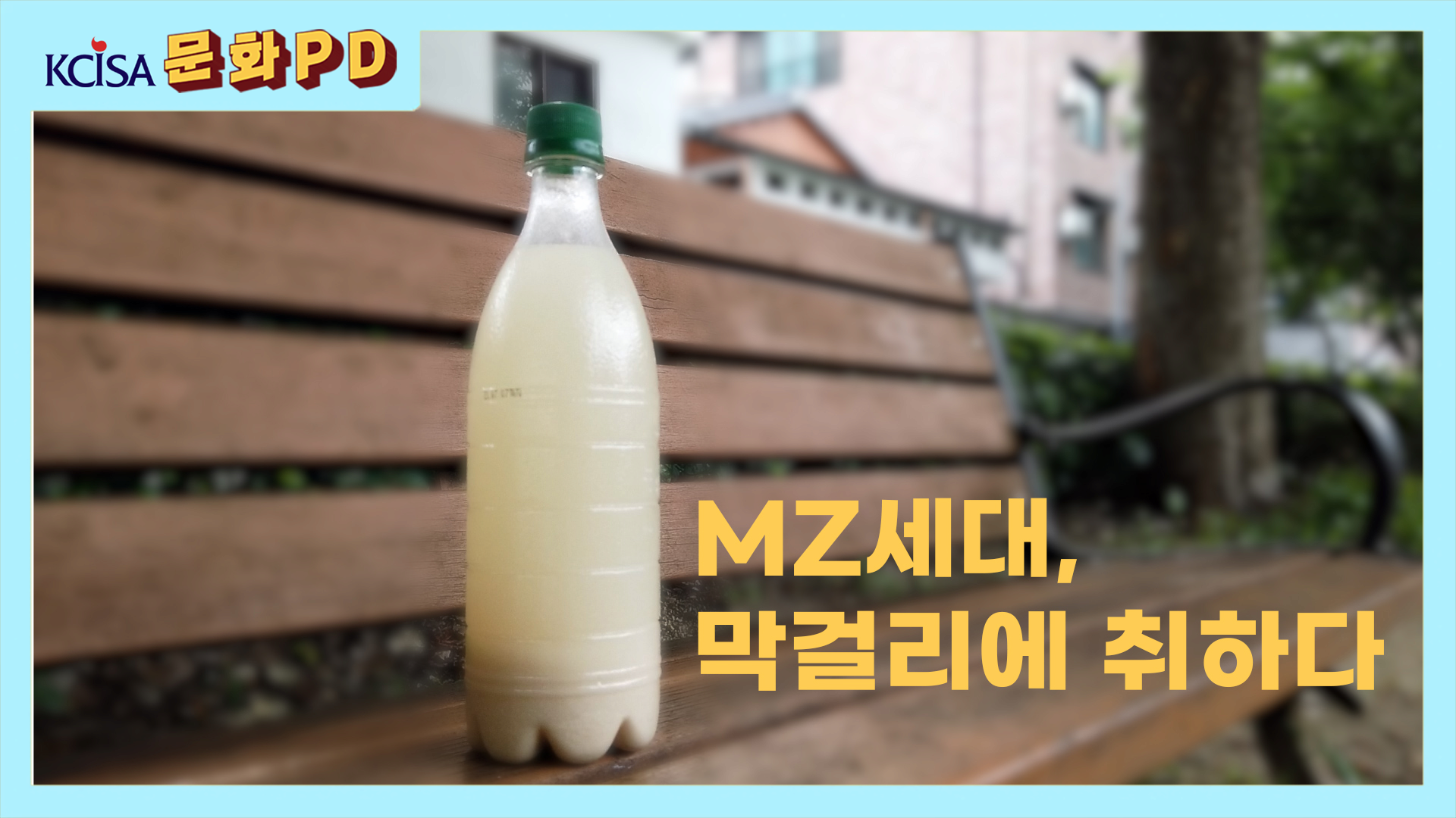 [문화PD] MZ세대,막걸리에 취하다