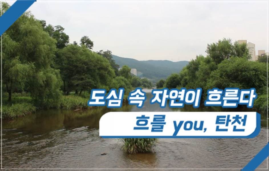 흐를 you, 탄천