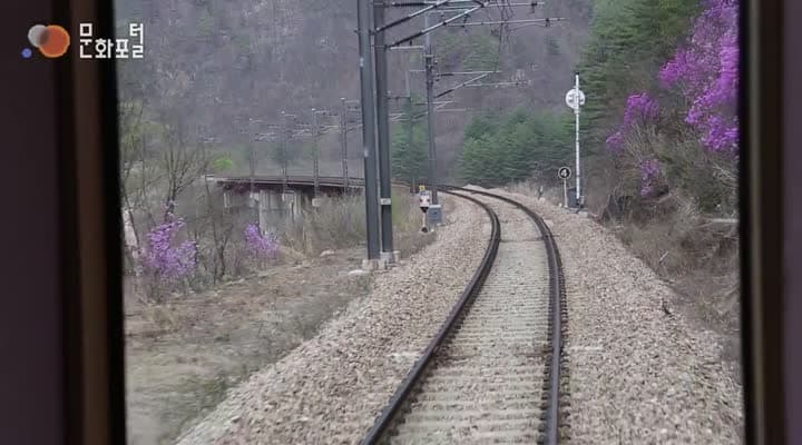 [한국문화100]한반도의 중심 산줄기, 백두대간