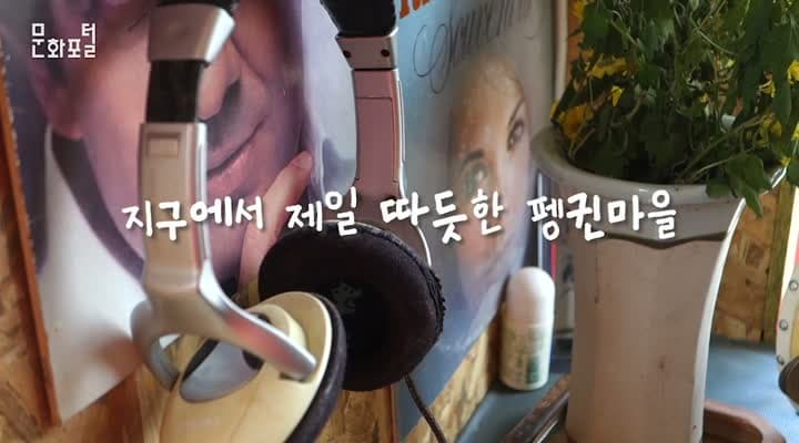 [활동연장자]지구에서 가장 따듯한 펭귄 마을, 광주 양림동 펭귄마을