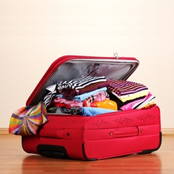 여행용 가방(462)