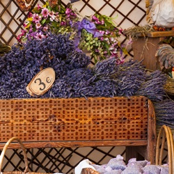 인테리어 소품(1079)