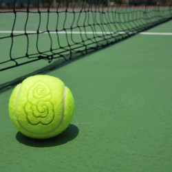 테니스공(2406)