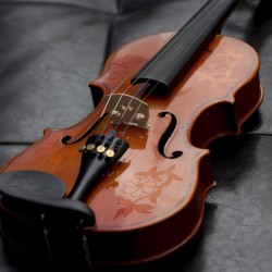 바이올린(2938)