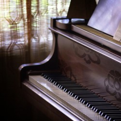 피아노(3208)