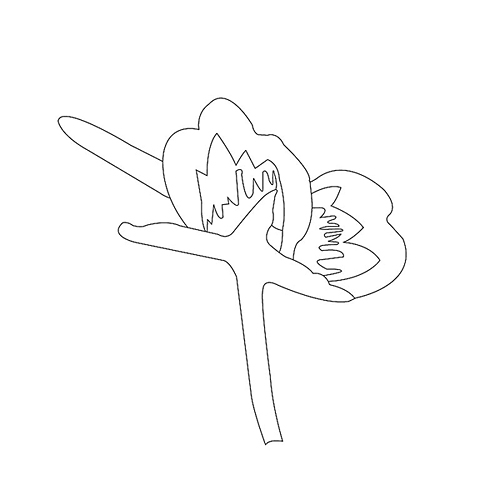 모란문(76760)