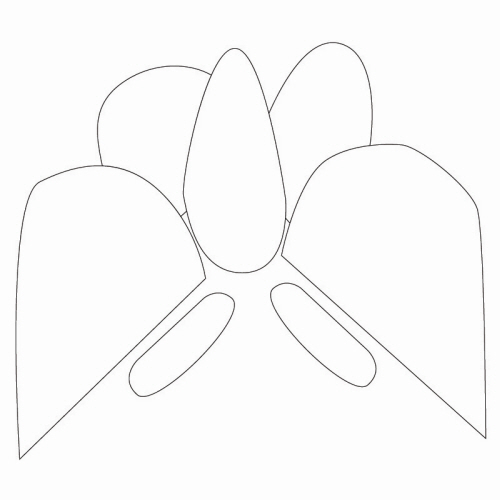 나비문(34371)