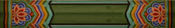 도리(19111)