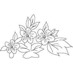 매화문(5619)