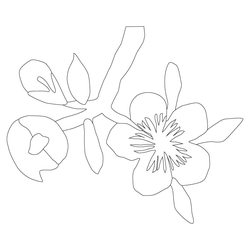 꽃문(80610)