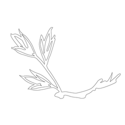 잎사귀문(14798)