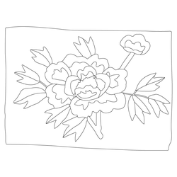 베갯모(81615)