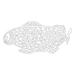 물고기문(28497)