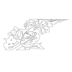 잎사귀문(81362)