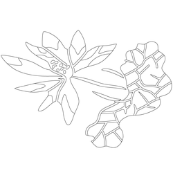 연꽃문(70236)