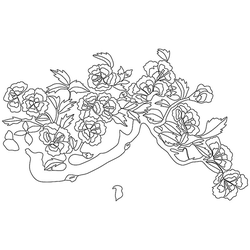 꽃문(76413)