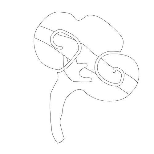 연꽃문(14406)