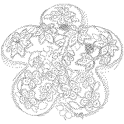 아기굴레(114335)