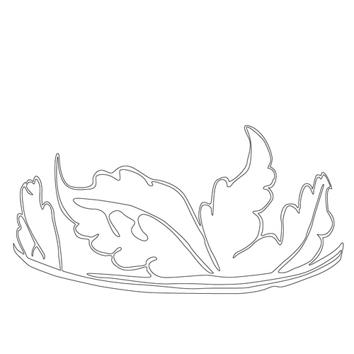 풀문(15233)