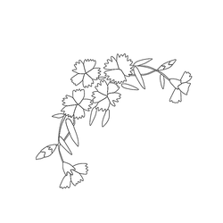 꽃문(76248)