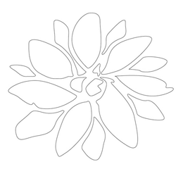 국화문(10264)