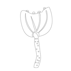 연꽃문(14519)