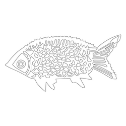 물고기문(13120)