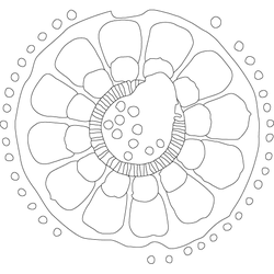 연꽃문(3490)