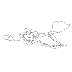 꽃문(80525)